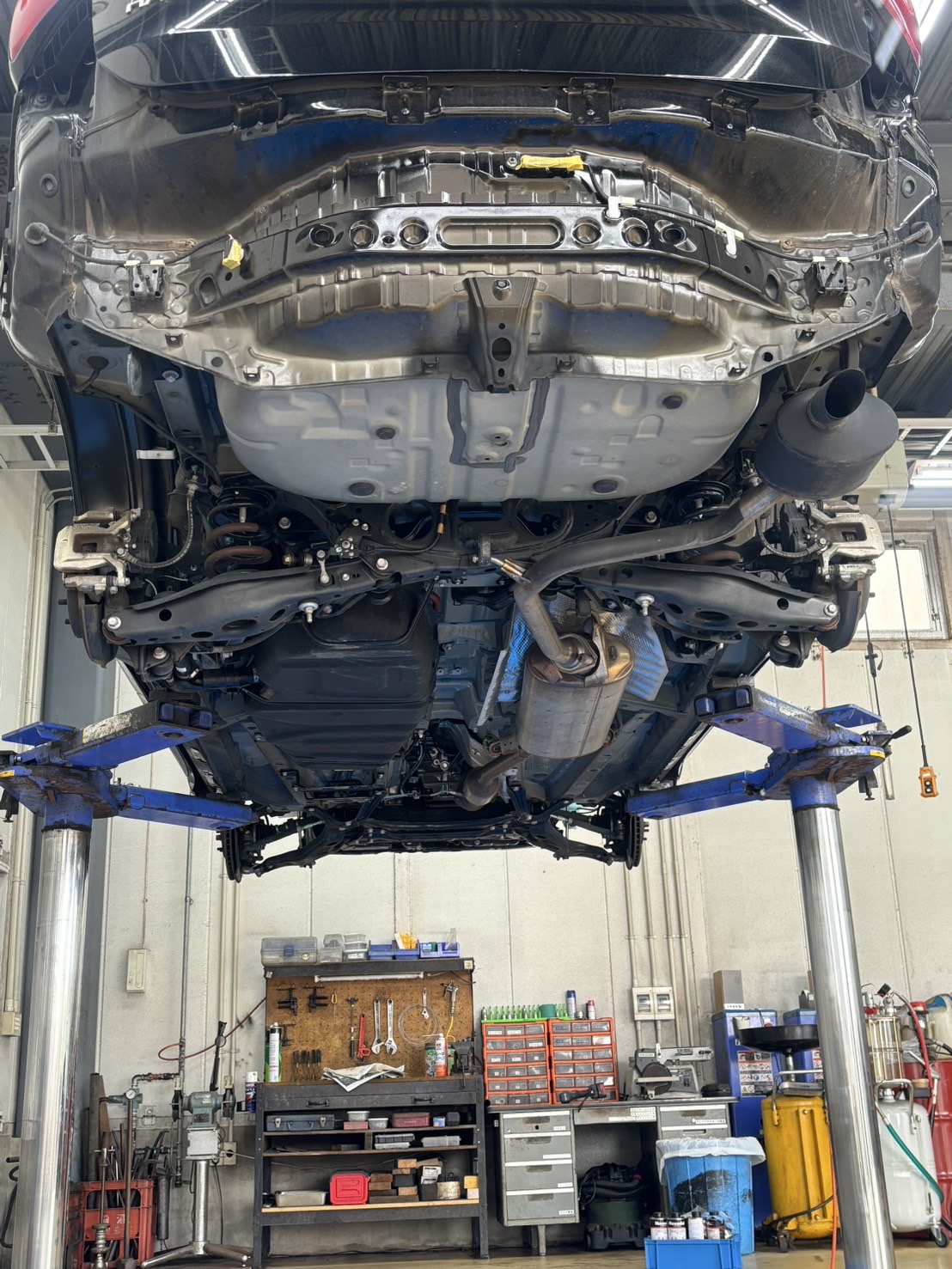 施工後(保護済み)